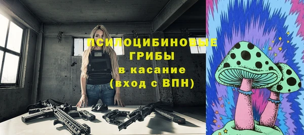 хмурый Алзамай