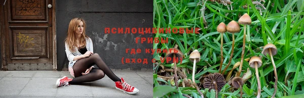 хмурый Алзамай