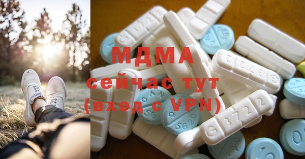 мет Алексин