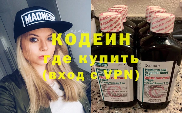 хмурый Алзамай