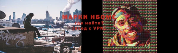 мет Алексин